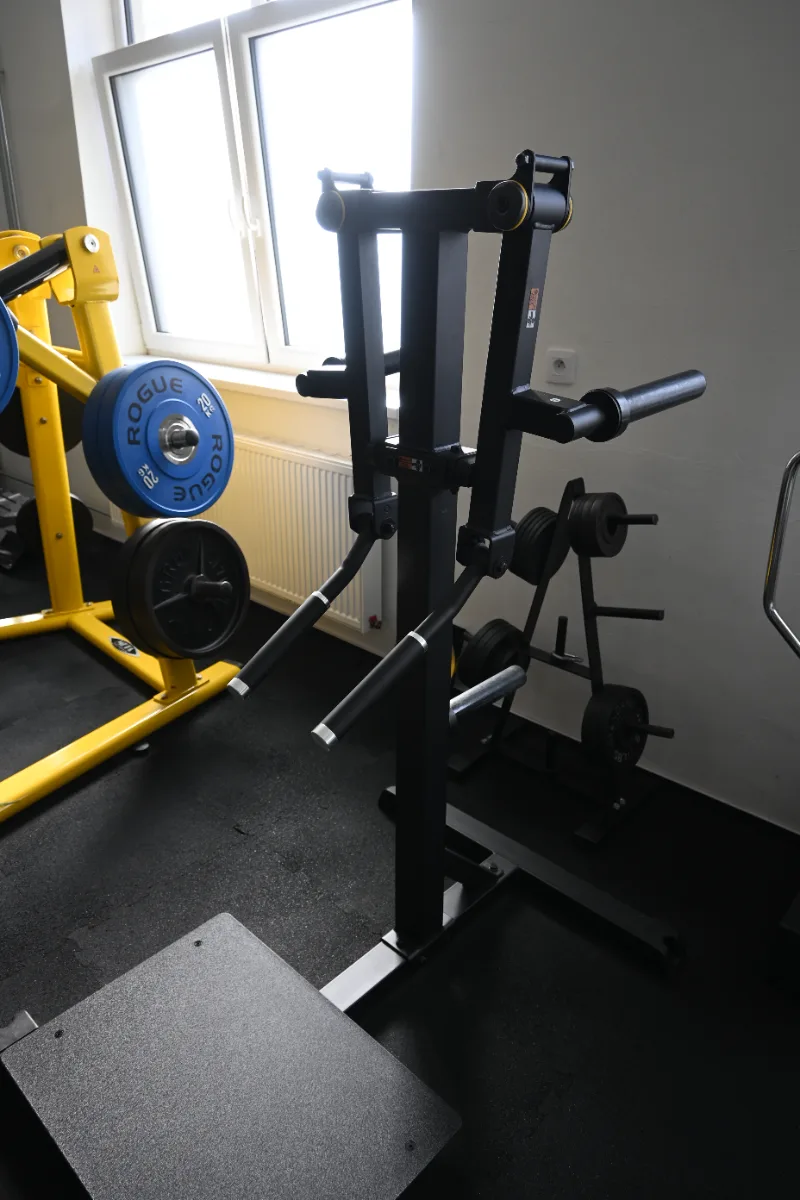 Lateral raise